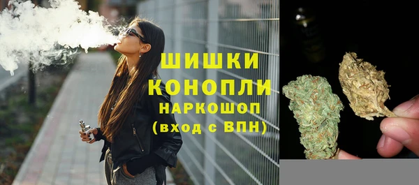 PSILOCYBIN Балабаново