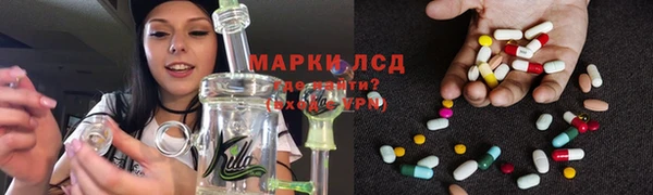 винт Аркадак