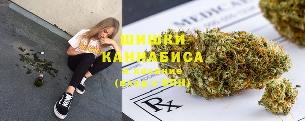PSILOCYBIN Балабаново