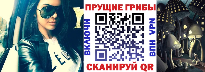 кракен ССЫЛКА  купить  сайты  Пролетарск  darknet клад  Псилоцибиновые грибы мицелий 